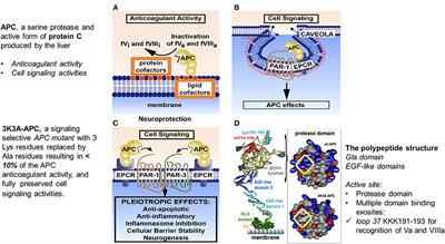 Stroke Treatment With PAR-1 Agents to Decrease Hemorrhagic Transformation